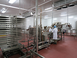 1463730590115423.jpg 加拿大凍干生產線項目現場-2.JPG